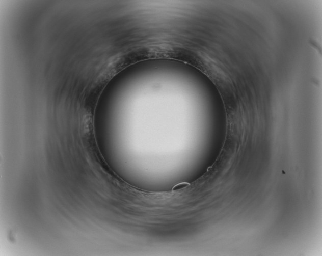 X0000095880038200801111143
