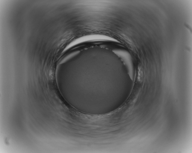 X0000095880039200801111143