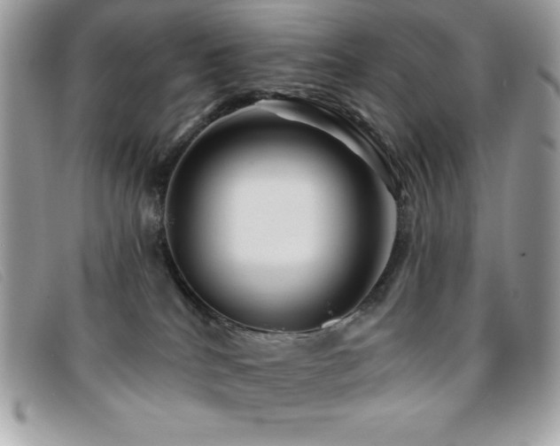 X0000095880040200801111143