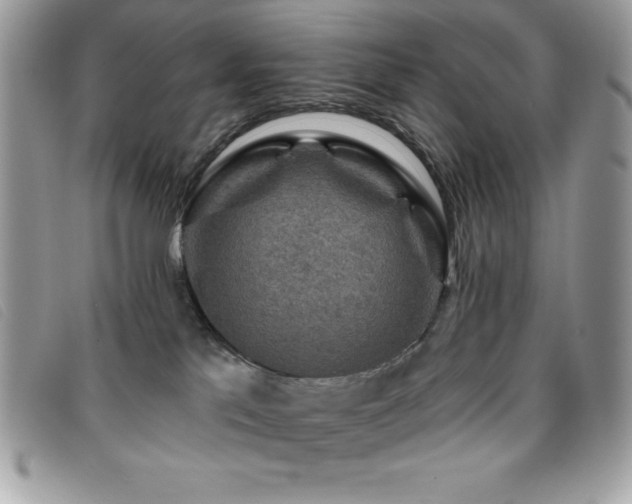 X0000095880041200801111143