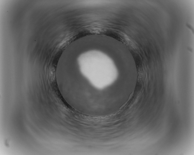 X0000095880043200801111143