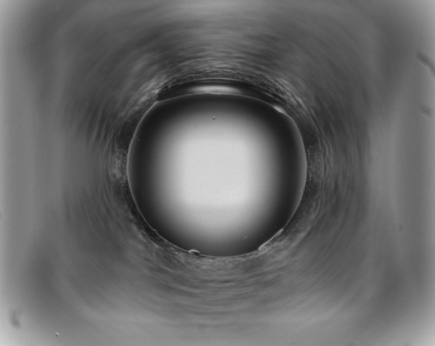 X0000095880044200801111143