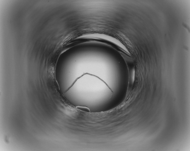 X0000095880045200801111143