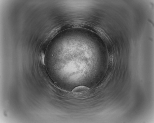 X0000095880046200801111143