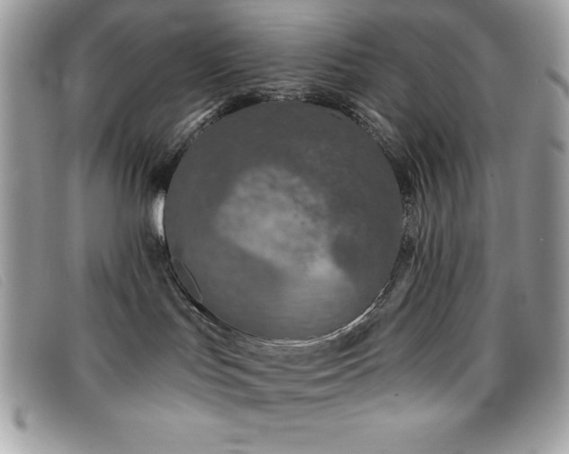 X0000095880047200801111143