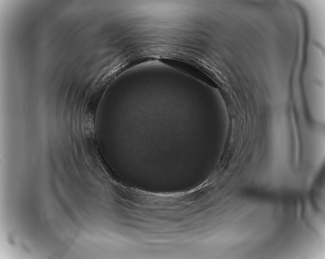 X0000095880048200801111143