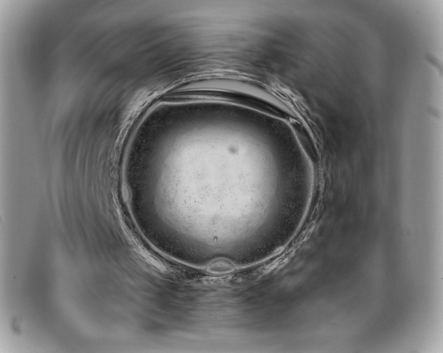 X0000095880049200801111142