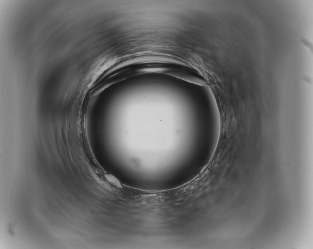 X0000095880050200801111142