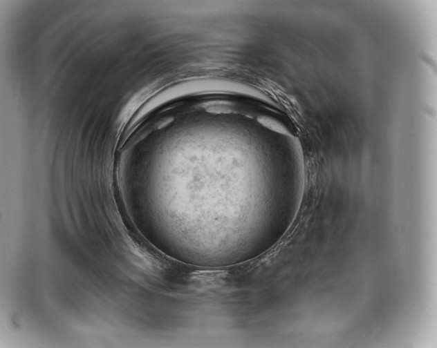 X0000095880051200801111142