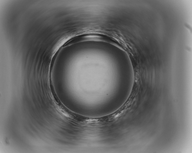 X0000095880052200801111142