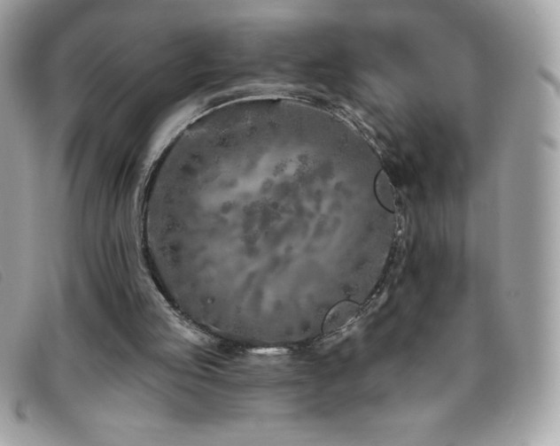 X0000095880053200801111142