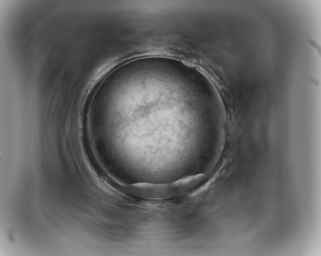 X0000095880055200801111142