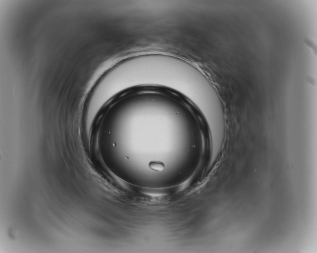 X0000095880056200801111142