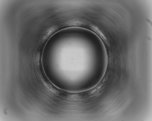 X0000095880058200801111142