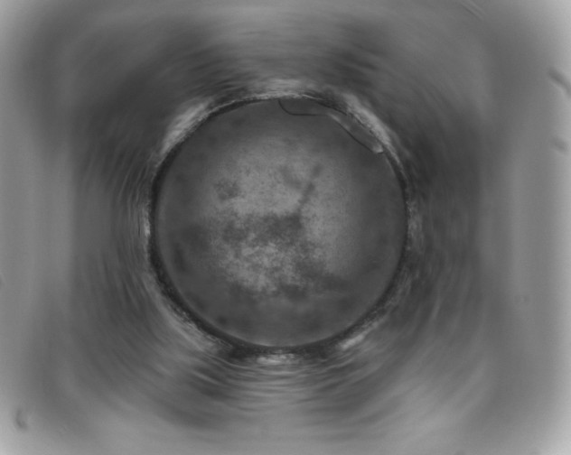 X0000095880059200801111142