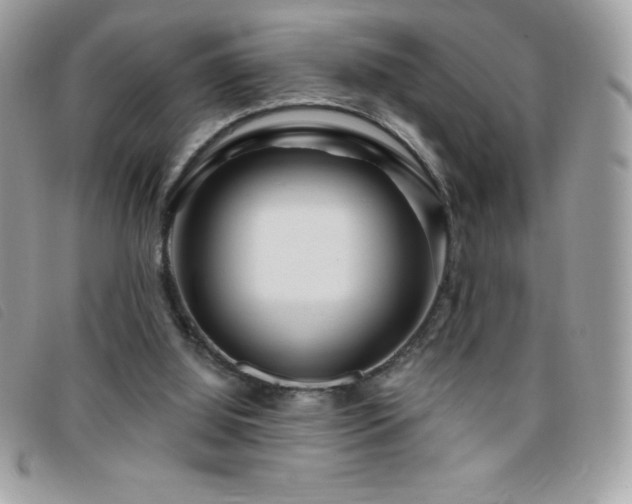 X0000095880060200801111142