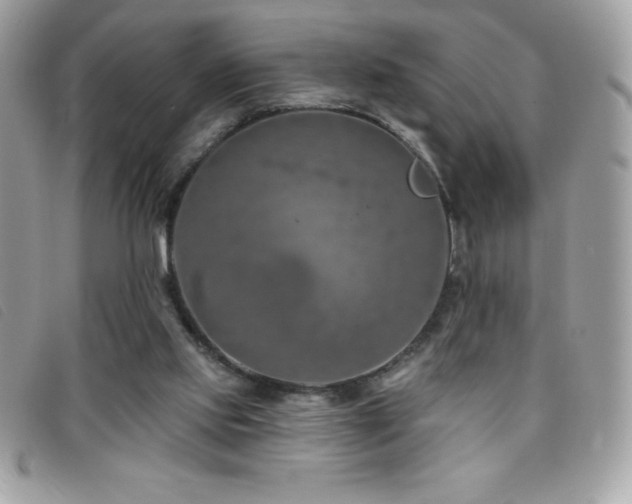 X0000095880061200801111142