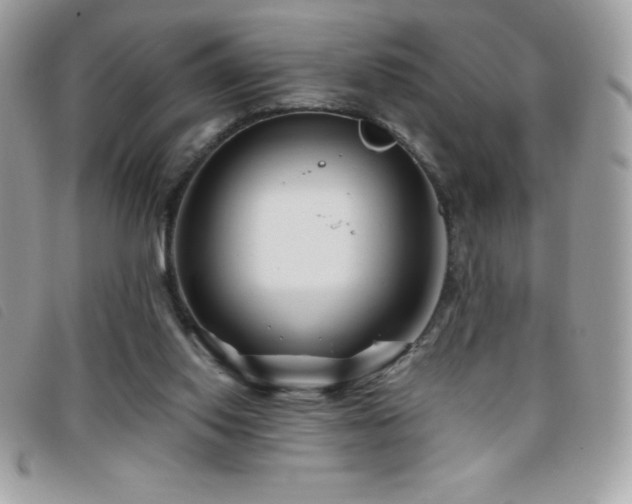 X0000095880062200801111142