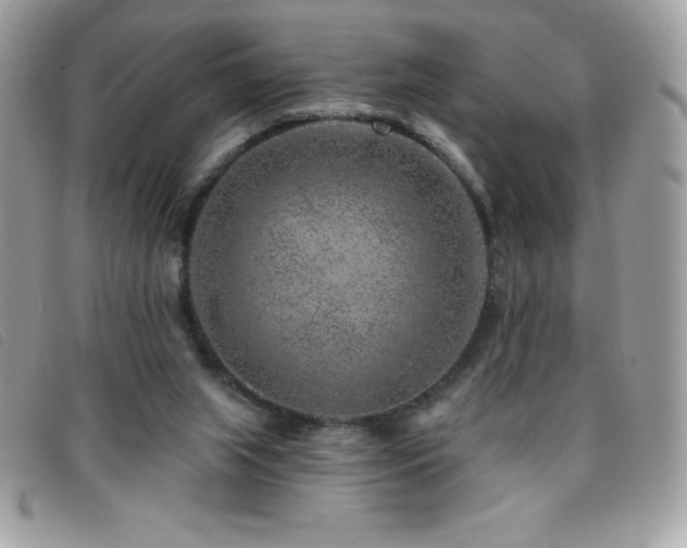 X0000095880063200801111142