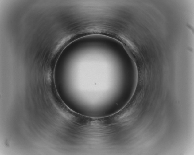 X0000095880064200801111142