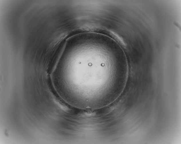 X0000095880065200801111142