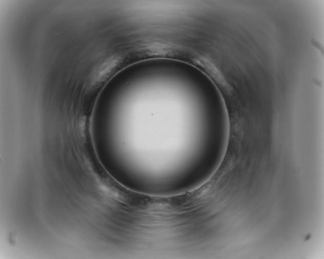 X0000095880066200801111142