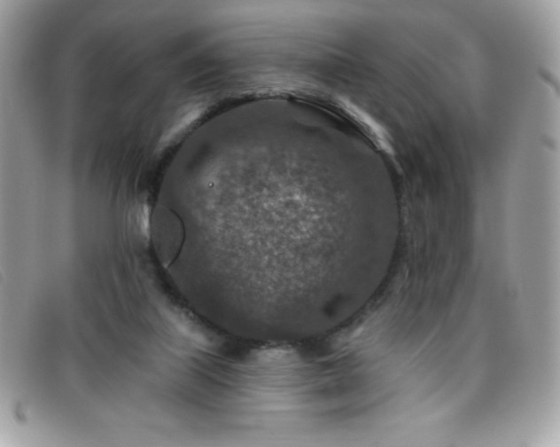 X0000095880067200801111142