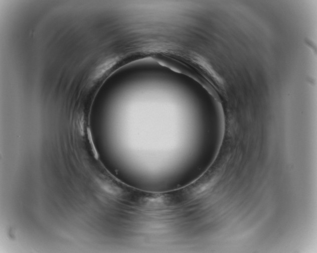X0000095880068200801111142
