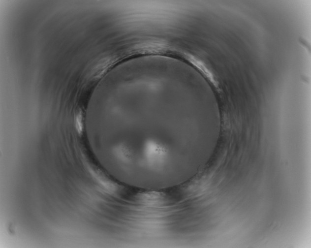 X0000095880069200801111142