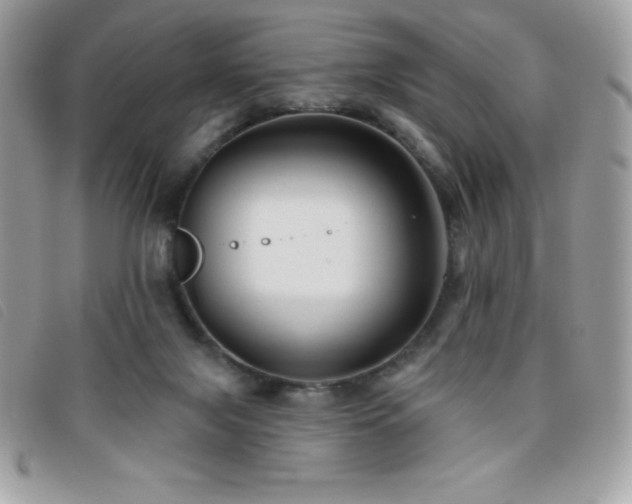X0000095880071200801111142