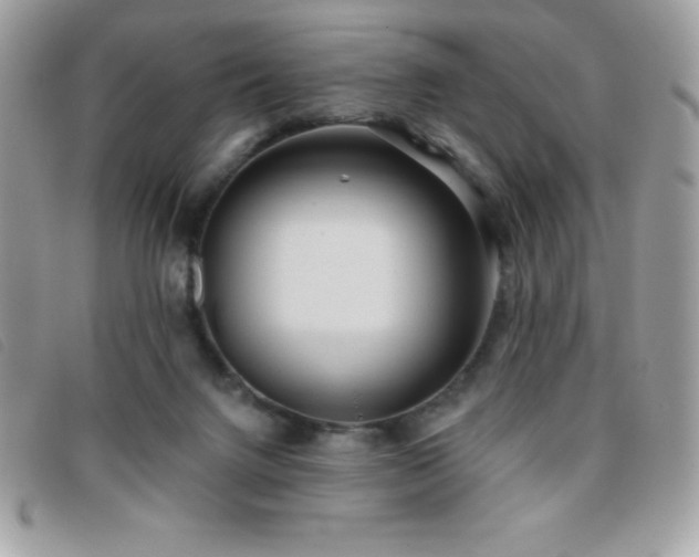 X0000095880072200801111142