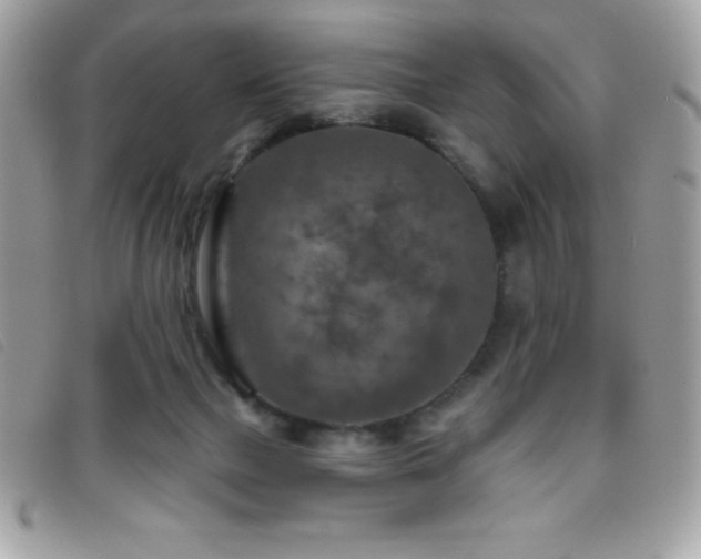 X0000095880073200801111142