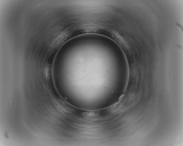 X0000095880074200801111142