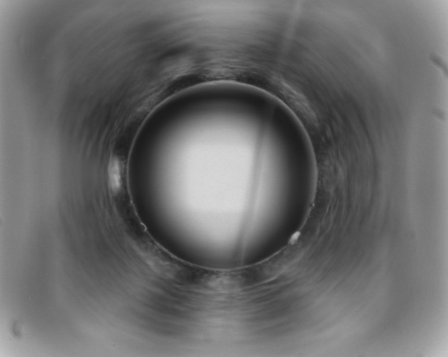 X0000095880075200801111142