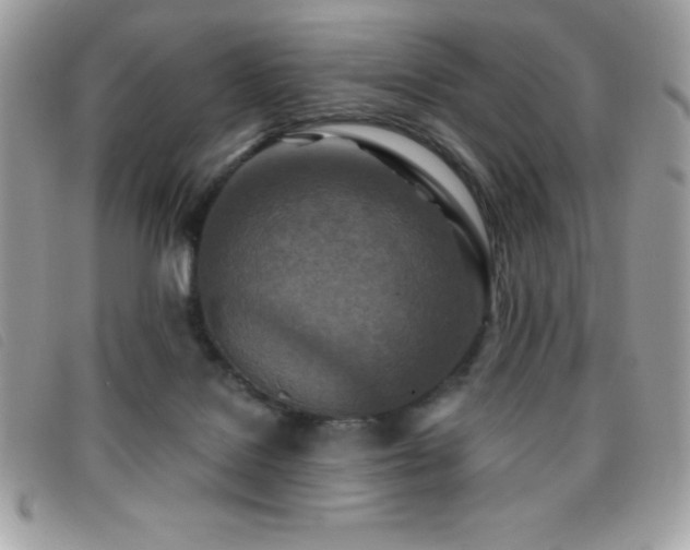 X0000095880076200801111142