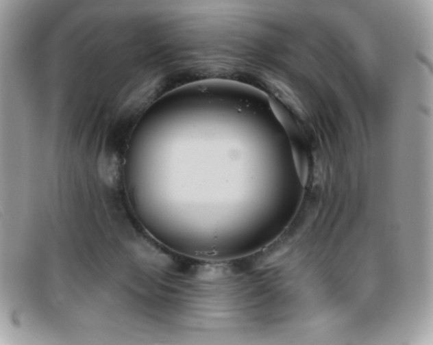X0000095880077200801111142