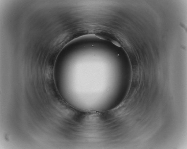 X0000095880078200801111142
