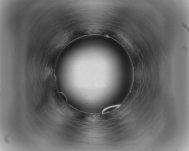 X0000095880079200801111142