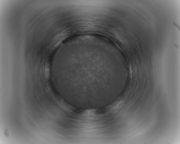 X0000095880080200801111143