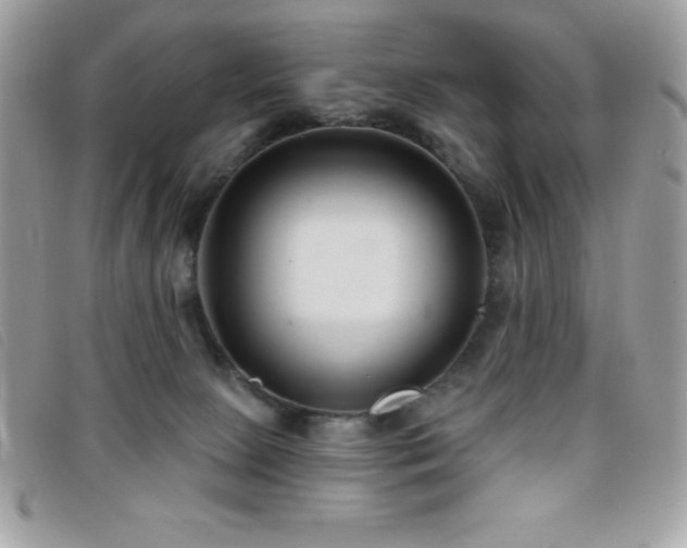 X0000095880081200801111143