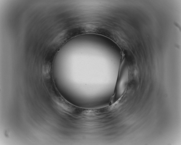 X0000095880082200801111143