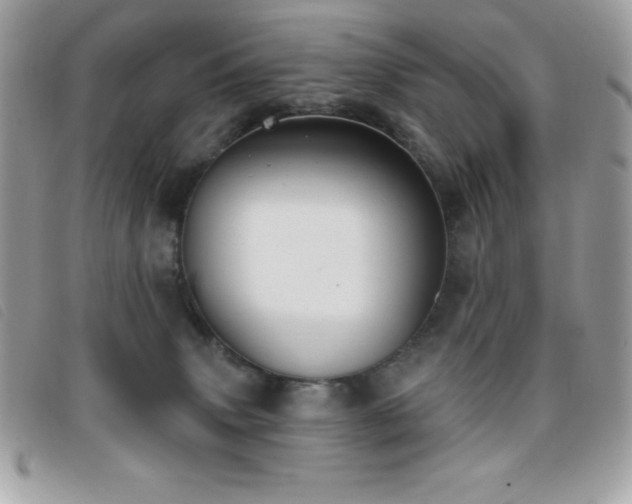 X0000095880083200801111143