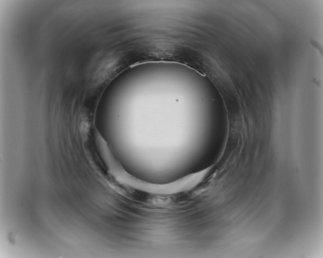 X0000095880084200801111143