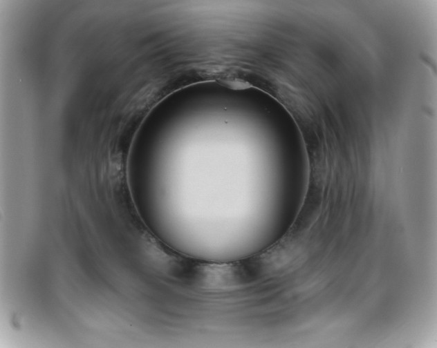 X0000095880085200801111143