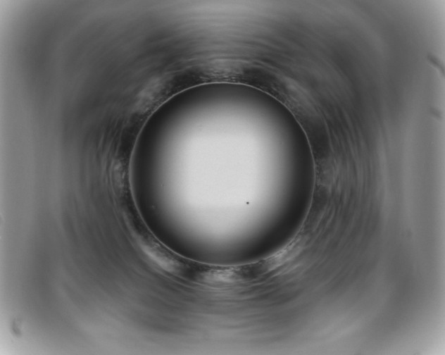 X0000095880086200801111143