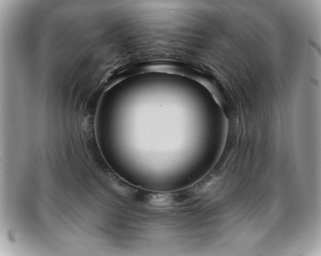 X0000095880088200801111143