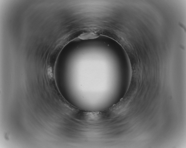 X0000095880089200801111143