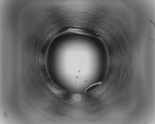 X0000095880091200801111143