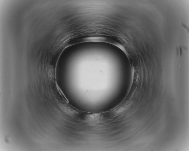 X0000095880092200801111143
