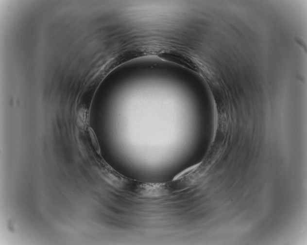 X0000095880093200801111143